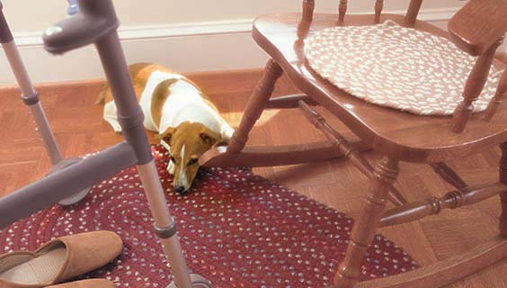 Trip Hazards Lurking In The Home